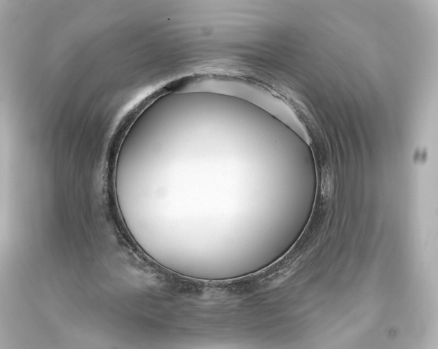 X0000093360388200711011212