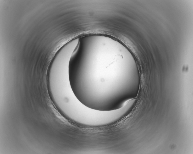 X0000093360389200711011212