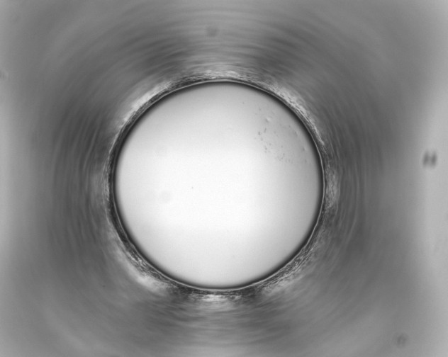 X0000093360390200711011212