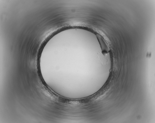 X0000093360391200711011212