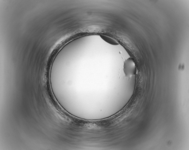 X0000093360392200711011212