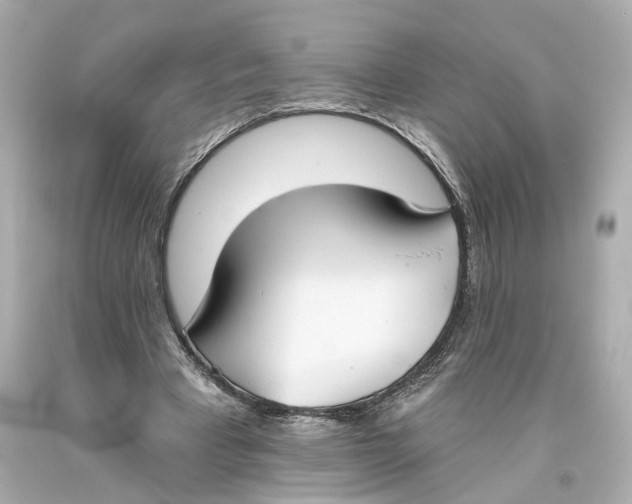 X0000093360393200711011212