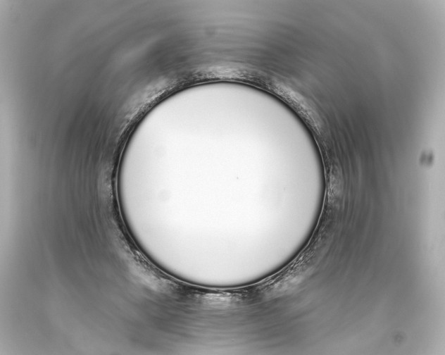 X0000093360394200711011212