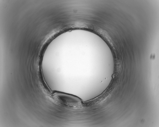 X0000093360395200711011212