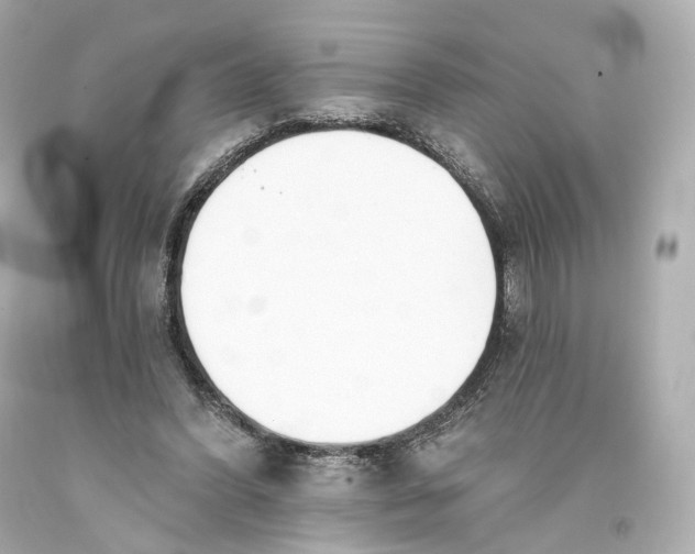 X0000093360396200711011212