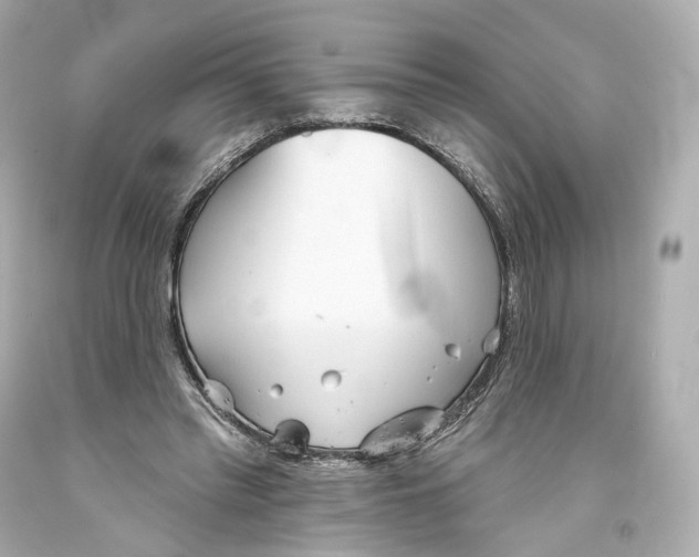 X0000093360397200711011212