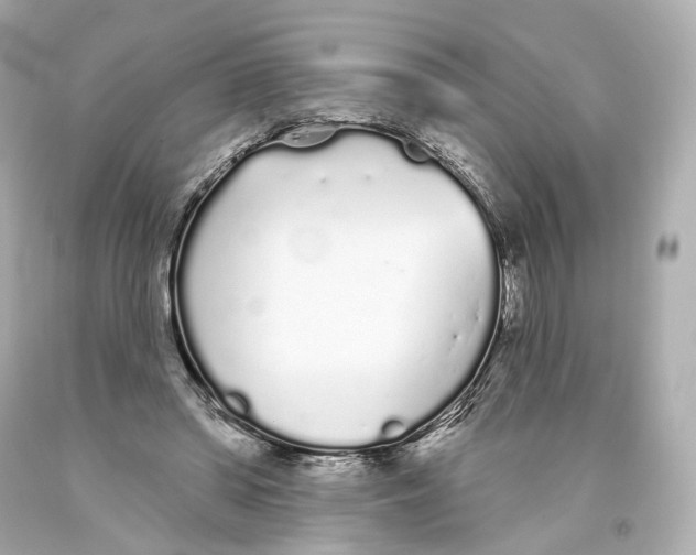 X0000093360398200711011212