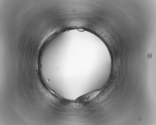 X0000093360399200711011212