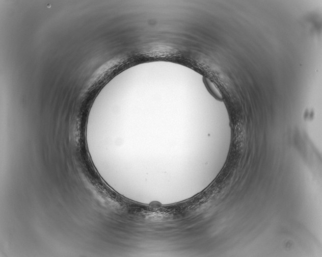 X0000093360400200711011212