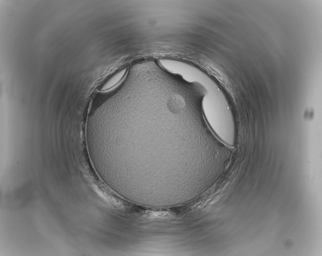 X0000093360401200711011212