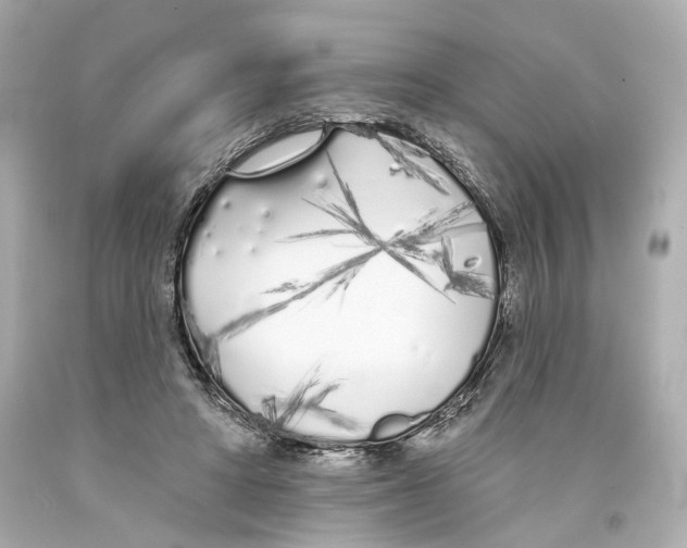 X0000093360402200711011212