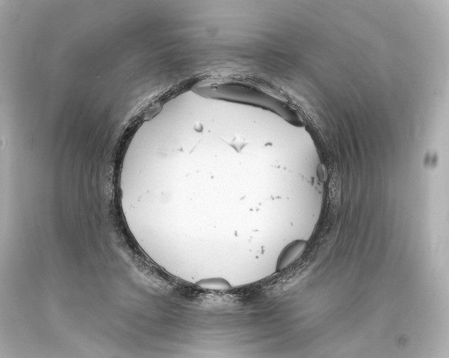 X0000093360403200711011211