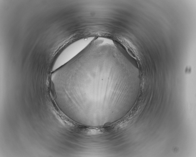 X0000093360405200711011211