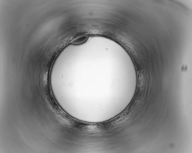 X0000093360406200711011211