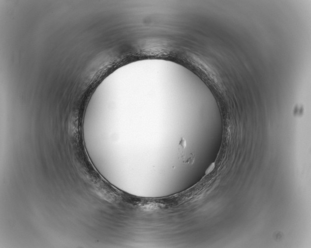 X0000093360407200711011211