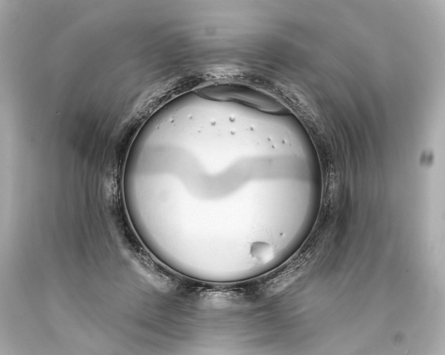 X0000093360408200711011211