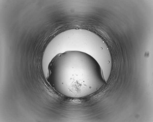 X0000093360409200711011211