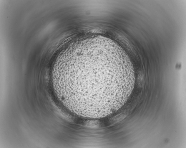 X0000093360410200711011211