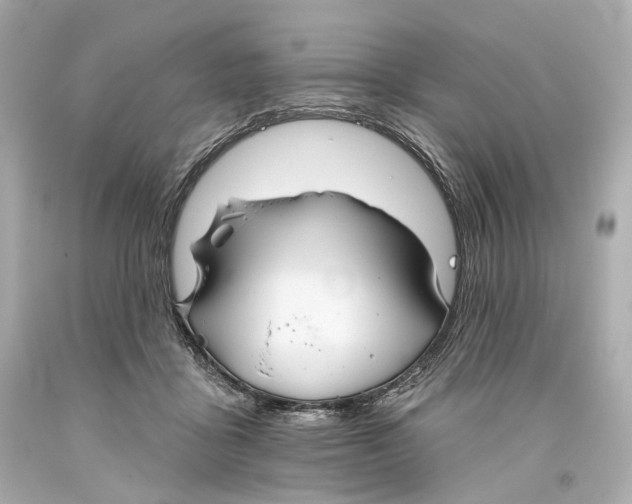 X0000093360411200711011211