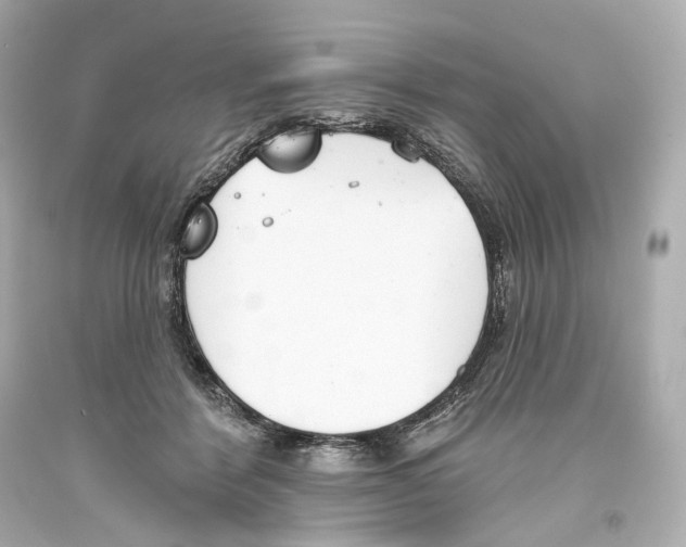 X0000093360412200711011211