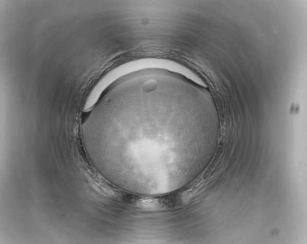 X0000093360413200711011211