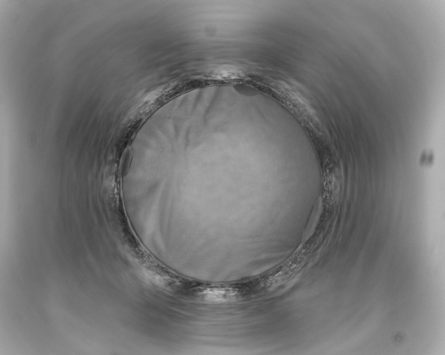 X0000093360415200711011211