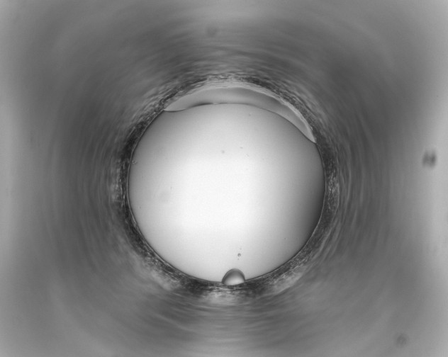 X0000093360416200711011211