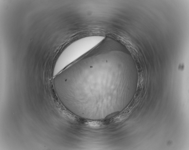 X0000093360417200711011211