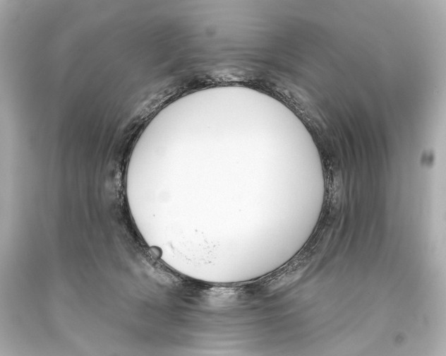 X0000093360418200711011211