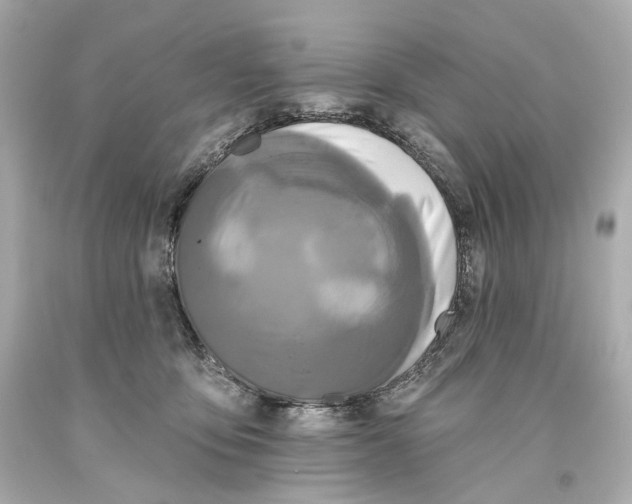 X0000093360419200711011211