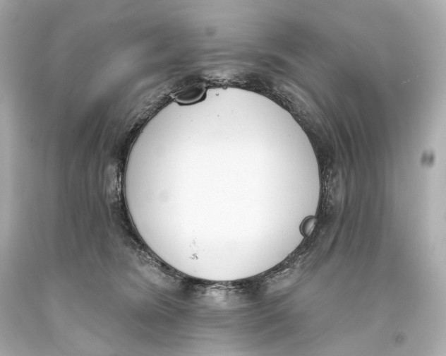 X0000093360420200711011211