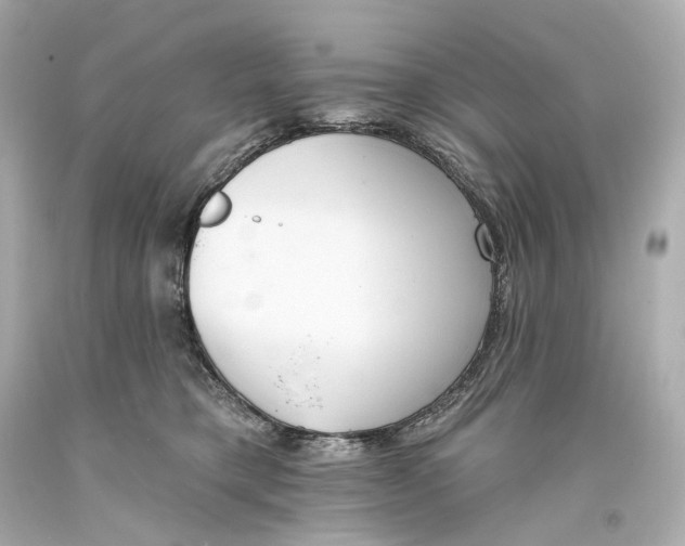 X0000093360421200711011211