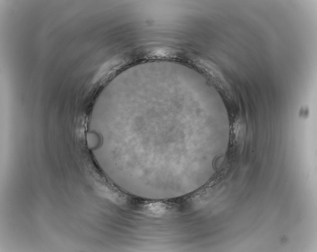 X0000093360423200711011211