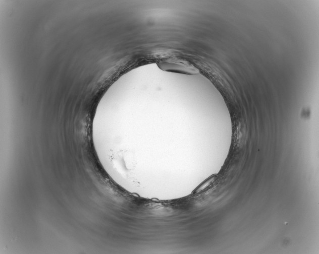 X0000093360424200711011211