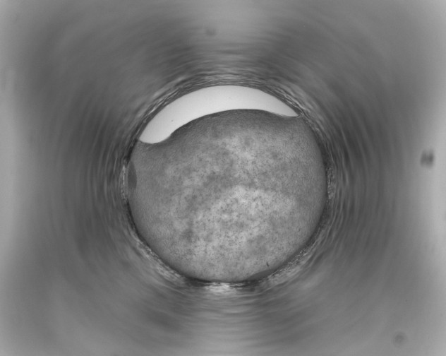 X0000093360425200711011211