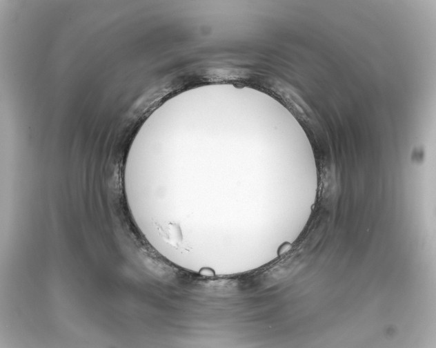 X0000093360426200711011211