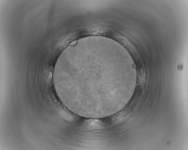 X0000093360427200711011211