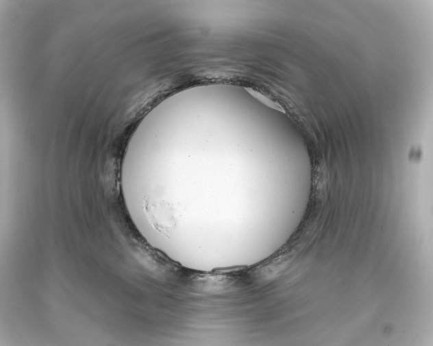 X0000093360428200711011211