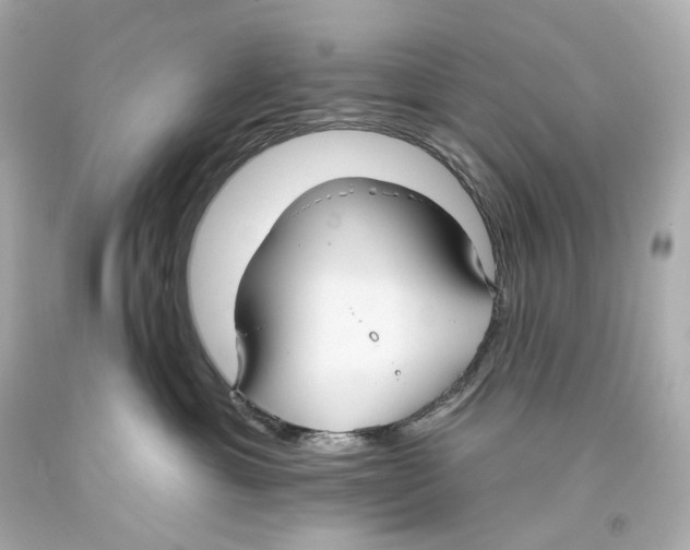 X0000093360429200711011211