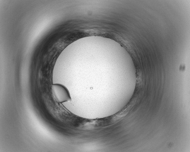 X0000093360430200711011211