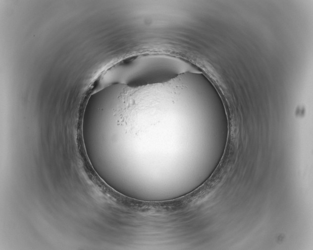 X0000093360434200711011211