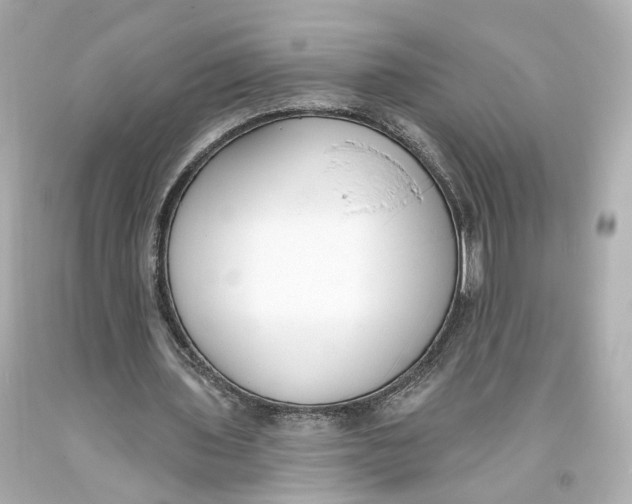 X0000093360435200711011211