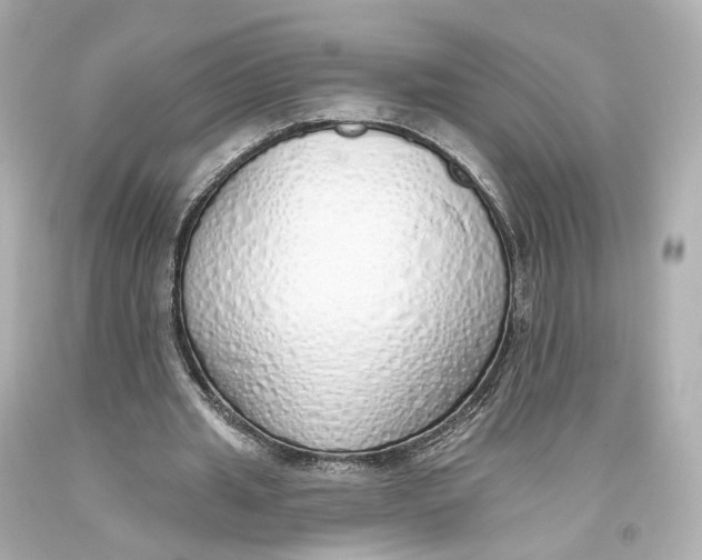 X0000093360437200711011211