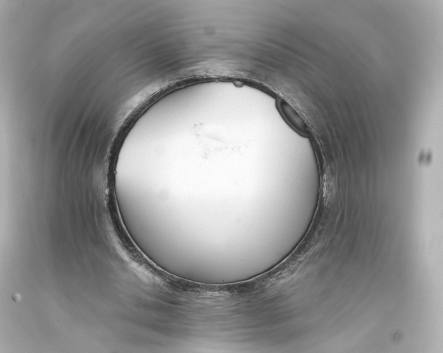 X0000093360438200711011211