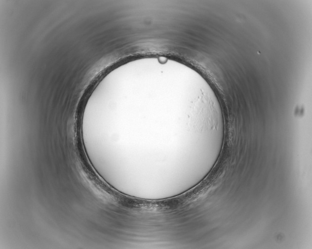 X0000093360439200711011211