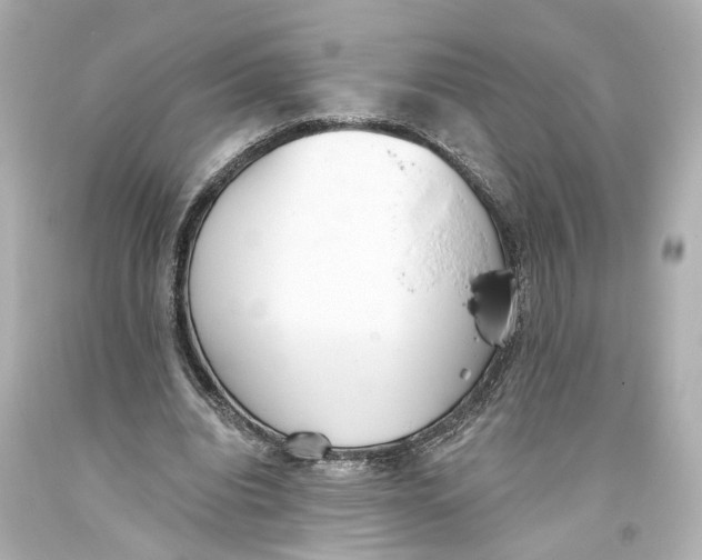 X0000093360440200711011211