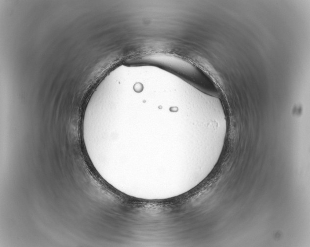 X0000093360441200711011211