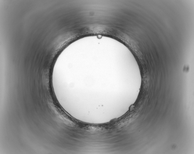 X0000093360442200711011211