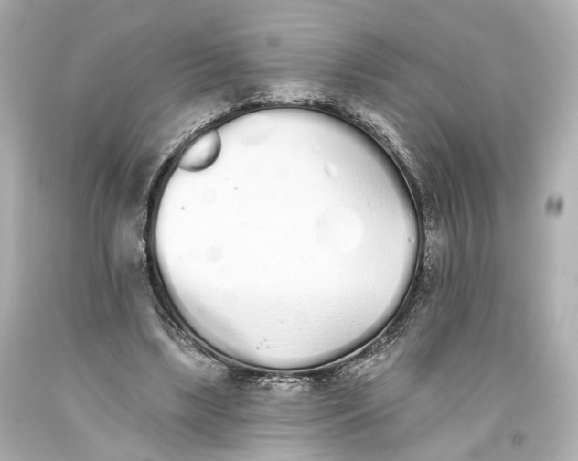 X0000093360443200711011211