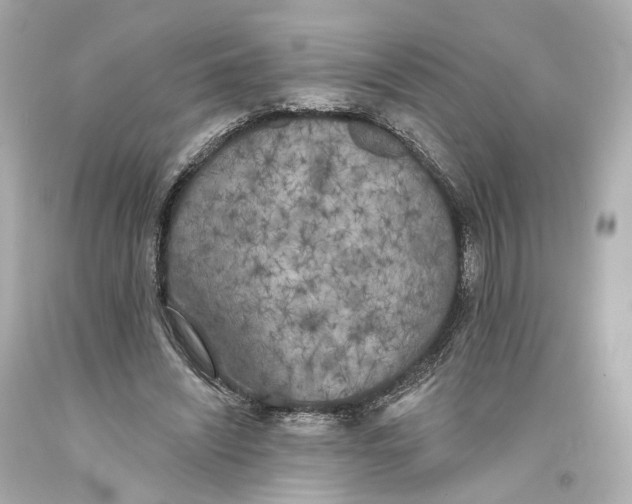 X0000093360444200711011211